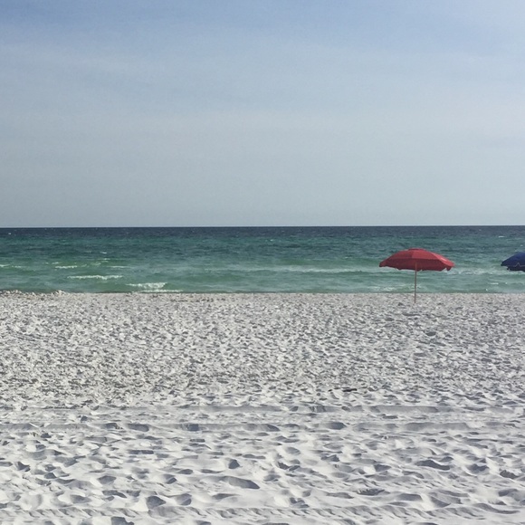 Meet your Posher, Elizabeth - Picture 1 of 1